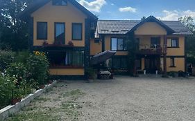 Casa Iuliana